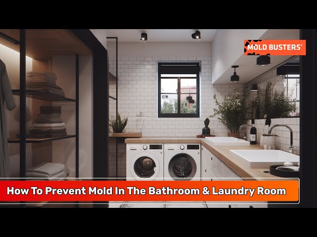 Ways To Prevent Mold In Bathrooms – Forbes Home