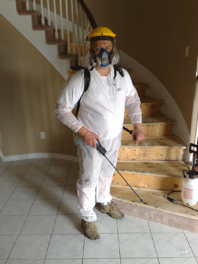 A Guide To Do It Yourself Mold Removal Mold Busters Blog