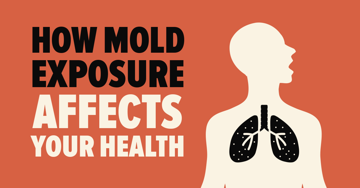 How Mold Exposure Affects Your Health Mold Busters Blog