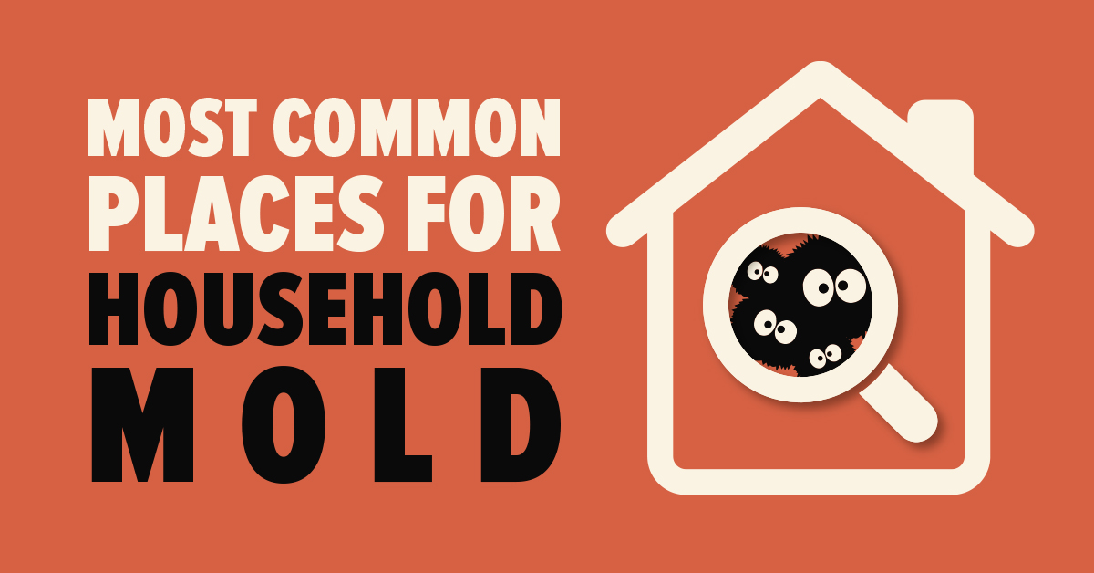 Most Common Places for Household Mold - Mold Busters Blog