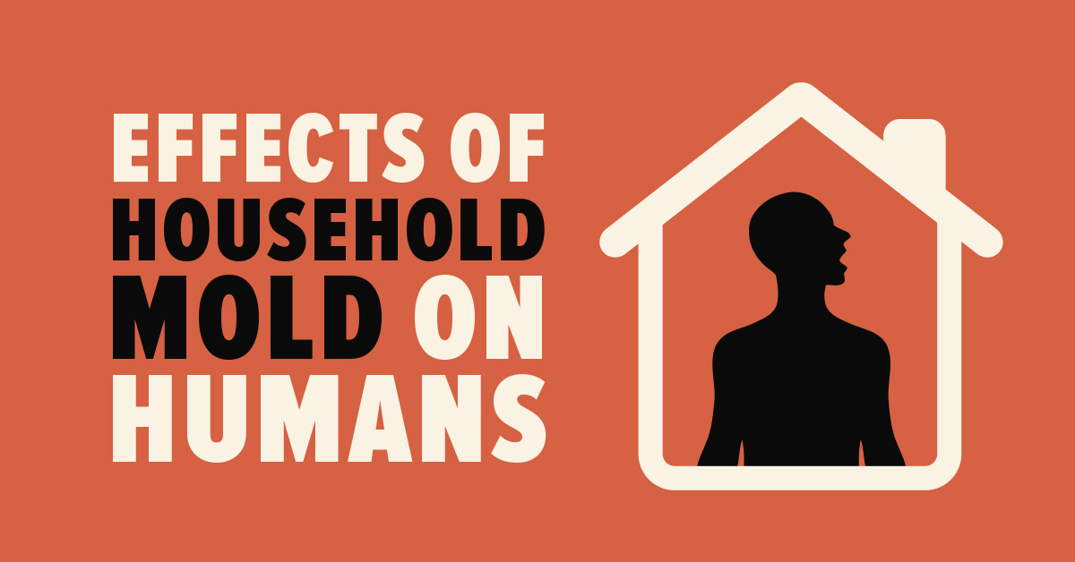 Effects of Household Mold on Humans