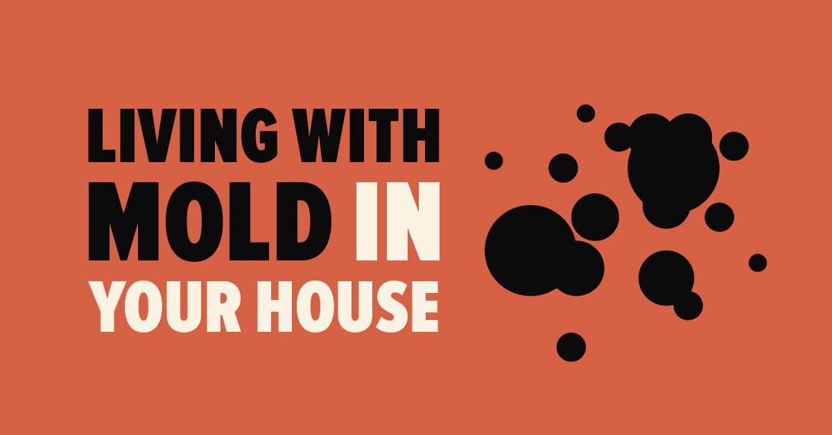 Living with Mold in Your House - How To Know | Mold Busters