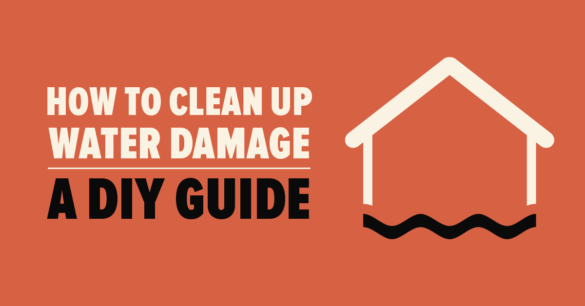 how-to-clean-up-water-damage-a-diy-guide-mold-busters