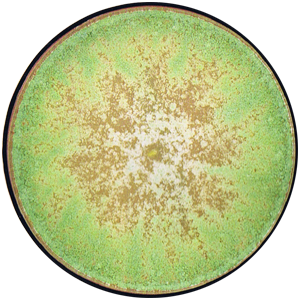 Trichoderma