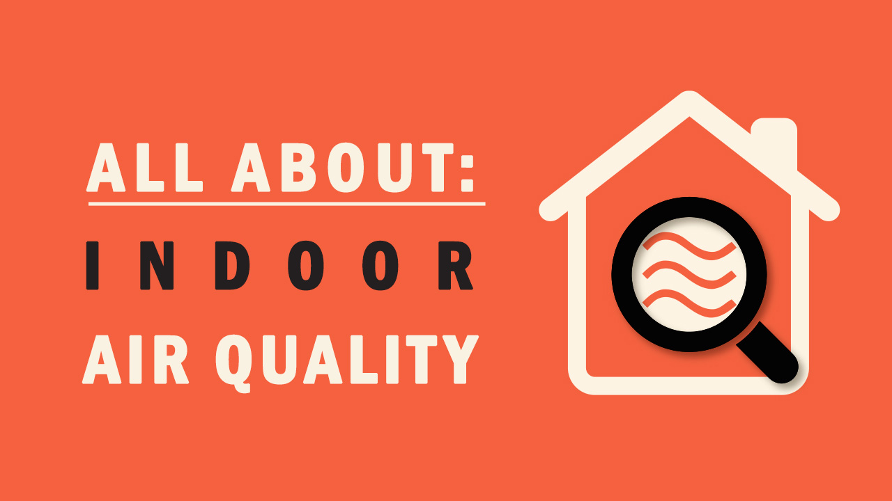 everything-you-need-to-know-about-indoor-air-quality-bust-mold