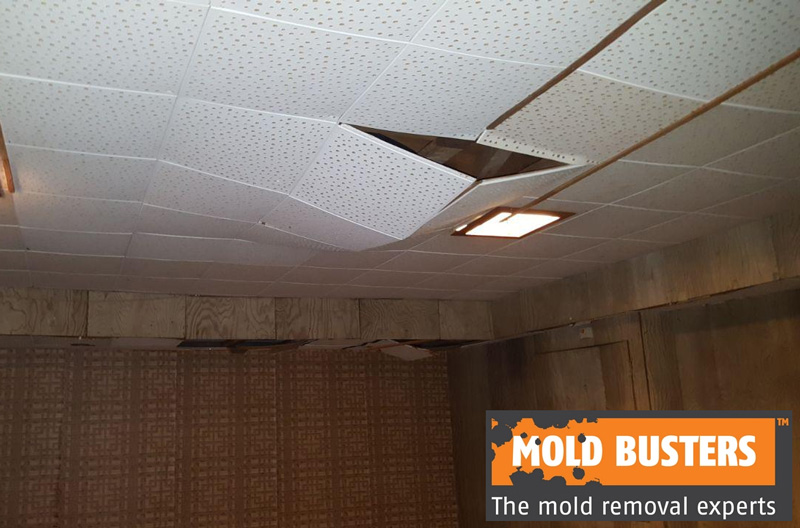 Asbestos in Tiles: How to Recognize and Remove? | Mold Busters