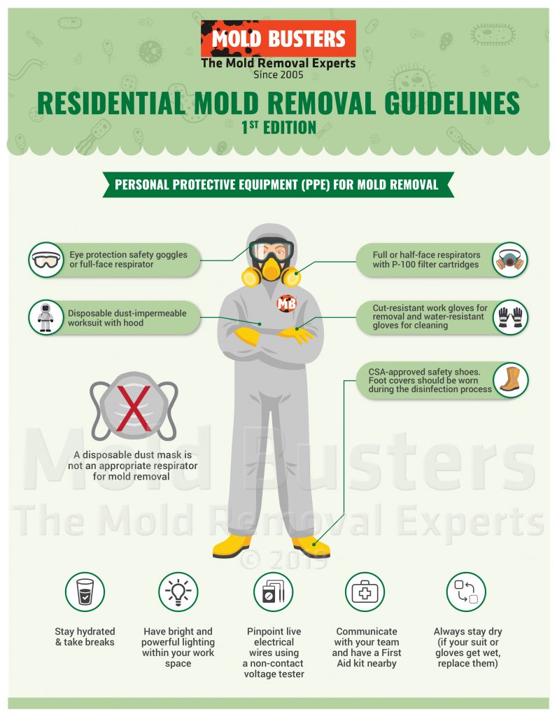 Personal Protective Equipment For Mold Removal - Infographic