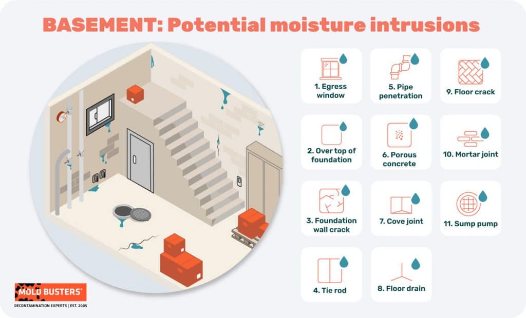 How To Prevent Mold In Basements | The Ultimate Guide