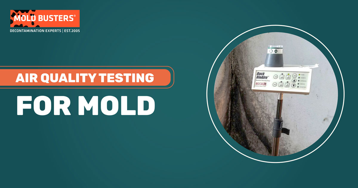 How To Test for Air Quality with a Viable Mold Test Kit 