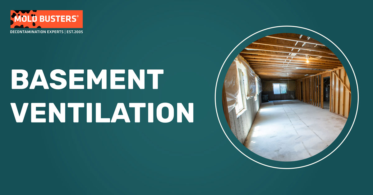 Basement Ventilation Services In Montreal & Ottawa | Mold Busters