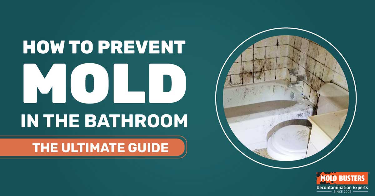 https://www.bustmold.com/wp-content/uploads/2021/10/how-to-prevent-mold-in-bathroom.jpg