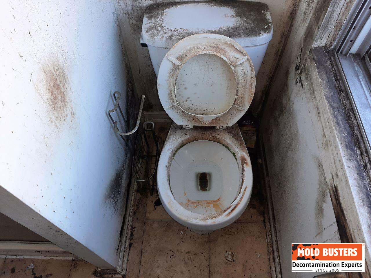 What Causes Black Streaks In Your Toilet Bowl