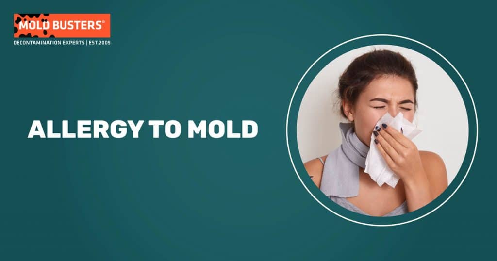 Mold Allergies Guide to Symptoms, Treatment, and Prevention