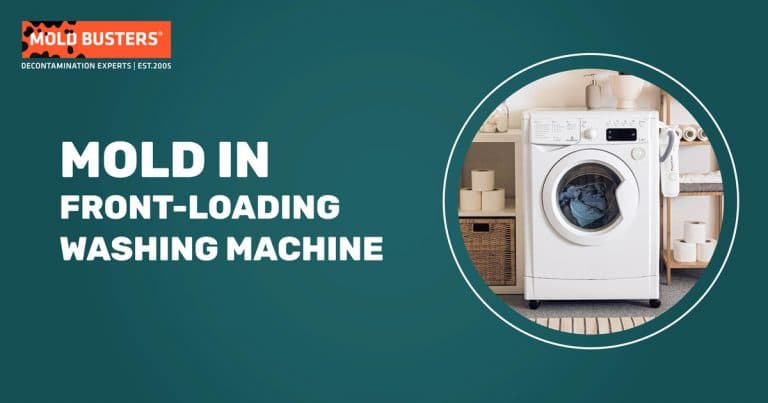 Mold In Front-Loading Washing Machine | How To Prevent & Remove