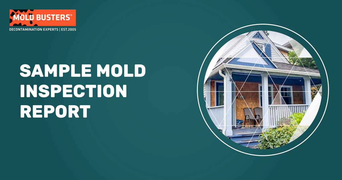 Sample Mold Inspection Report Mold Busters