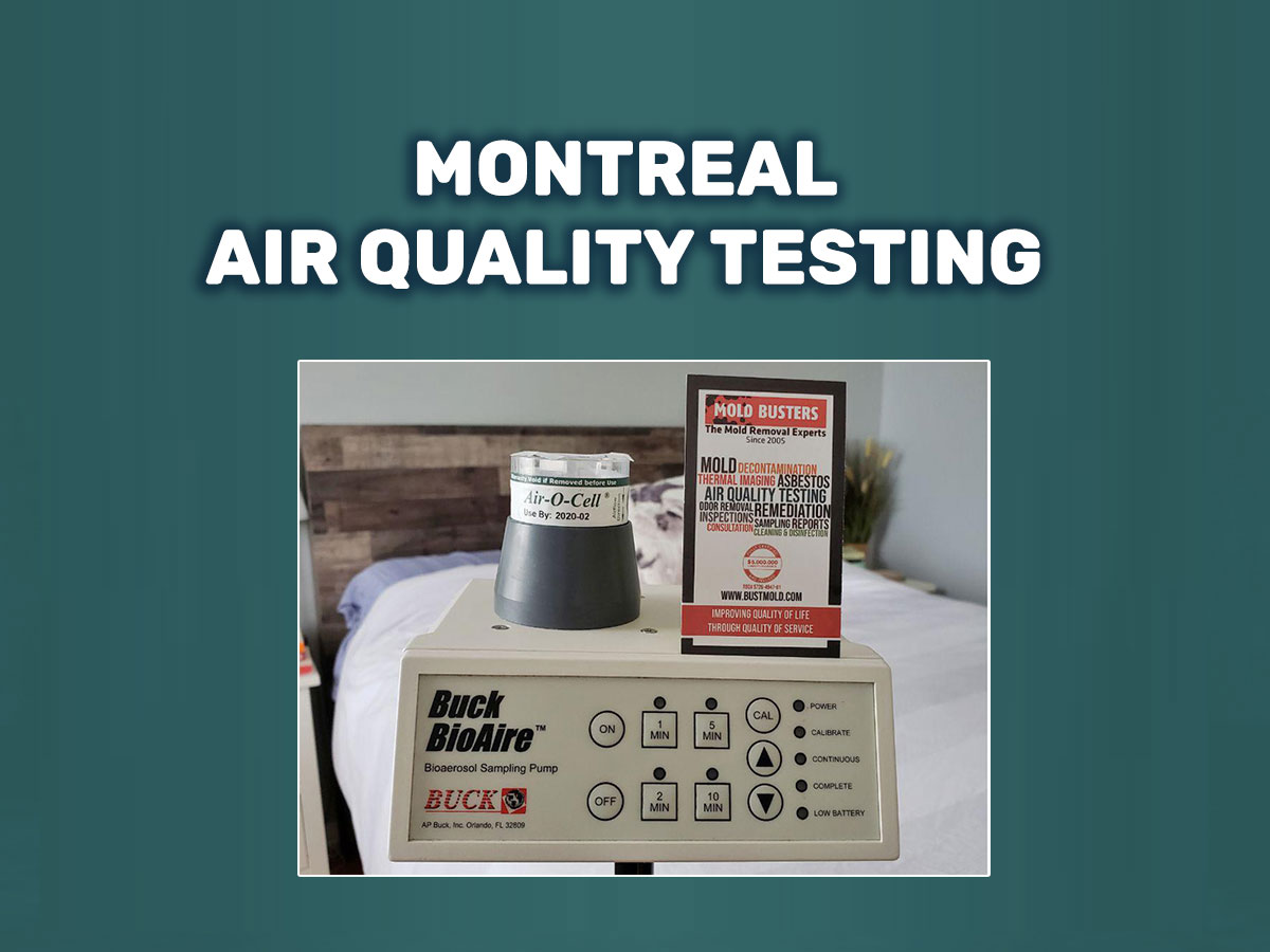 Air Quality Test Kit - Air Mold Test Kit