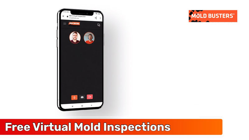 Download the free mold inspection app