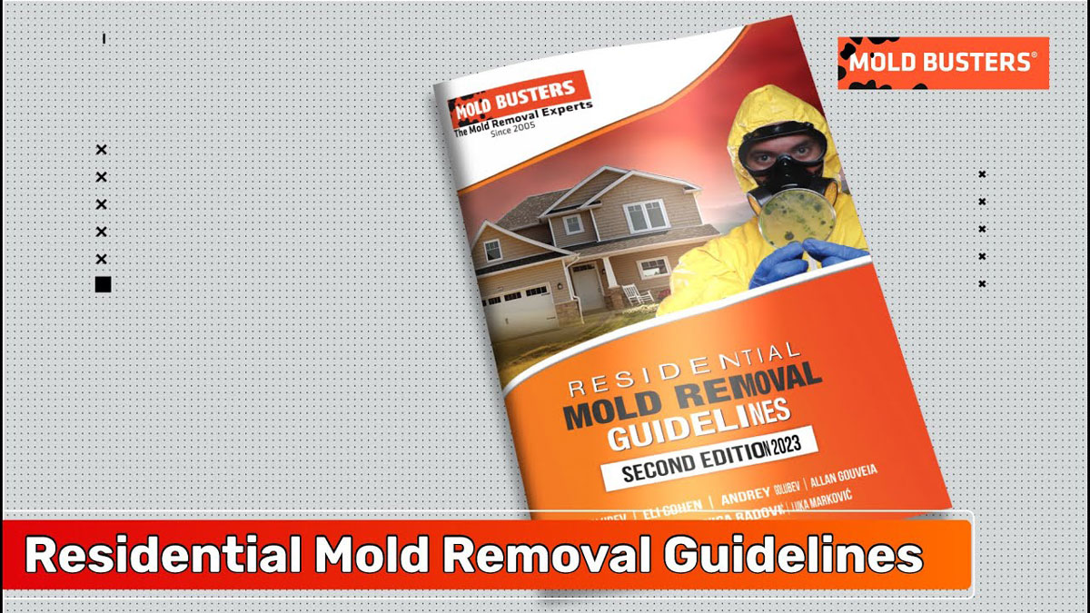 Mold Removal Guidelines