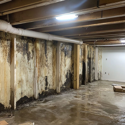 Basement Mold Removal