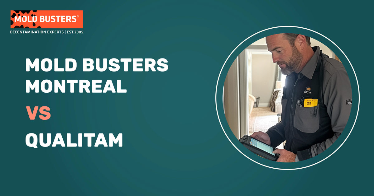 Qualitam vs Mold Busters Montreal