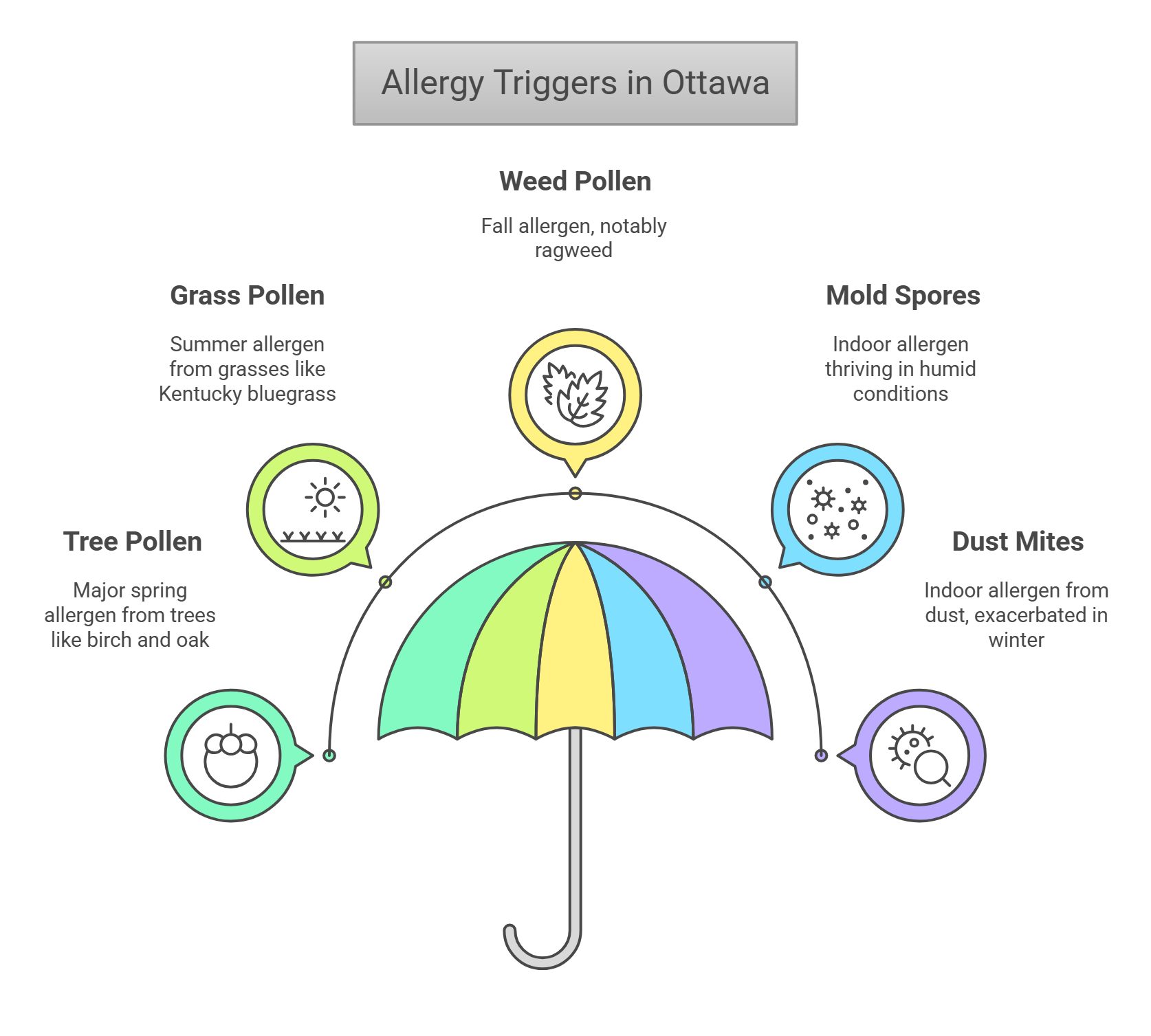 Allergy Triggers in Ottawa